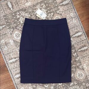 Elegant Navy Blue Women's Skirt